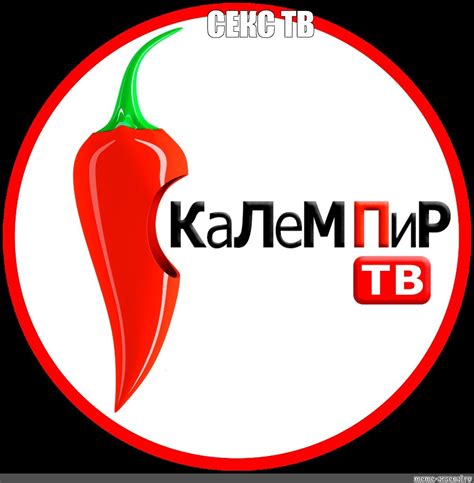 секс тв|POREO .